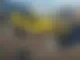 Vehicle Image- 1968 Volkswagen Beetle